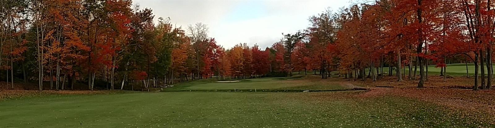 hole15